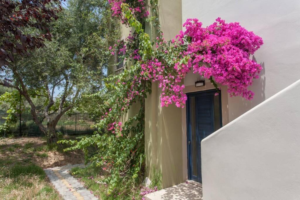 Villa Manolis Hanya Dış mekan fotoğraf